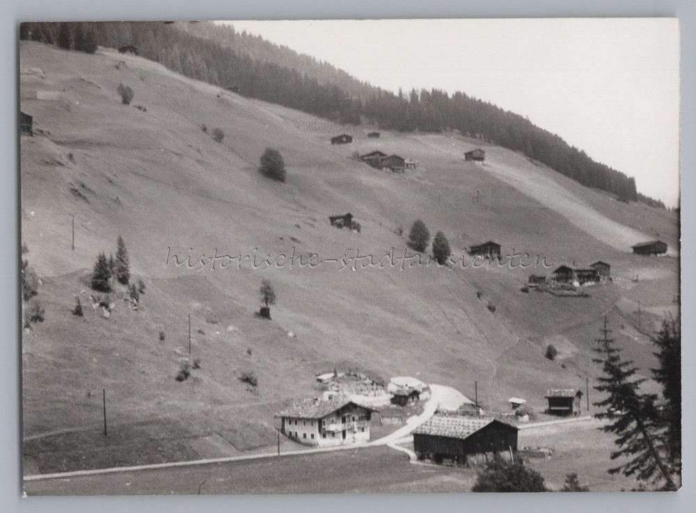 Hintertux Austria – Farmhouses on a Slope – Old Photo 1960s