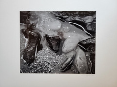 Richard Garrod, black and white photography, Tidepool, Point Lobos, 1987