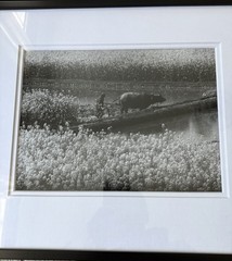 3 Professionally Framed & Matted China Photographer Kang Xuesong’s Works，photos
