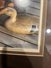 john fulton color print signed Decoys Ammo Duck Calls (hunting) Framed