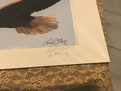 American Bald Eagle Soaring – Matted for 11″ x 14″ Signed David Z Guy 1/50_I395