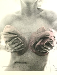 BERT STERN ~MARILYN MONROE ROSES, 20 x 24 Pink Roses-Signed + Hand Painted