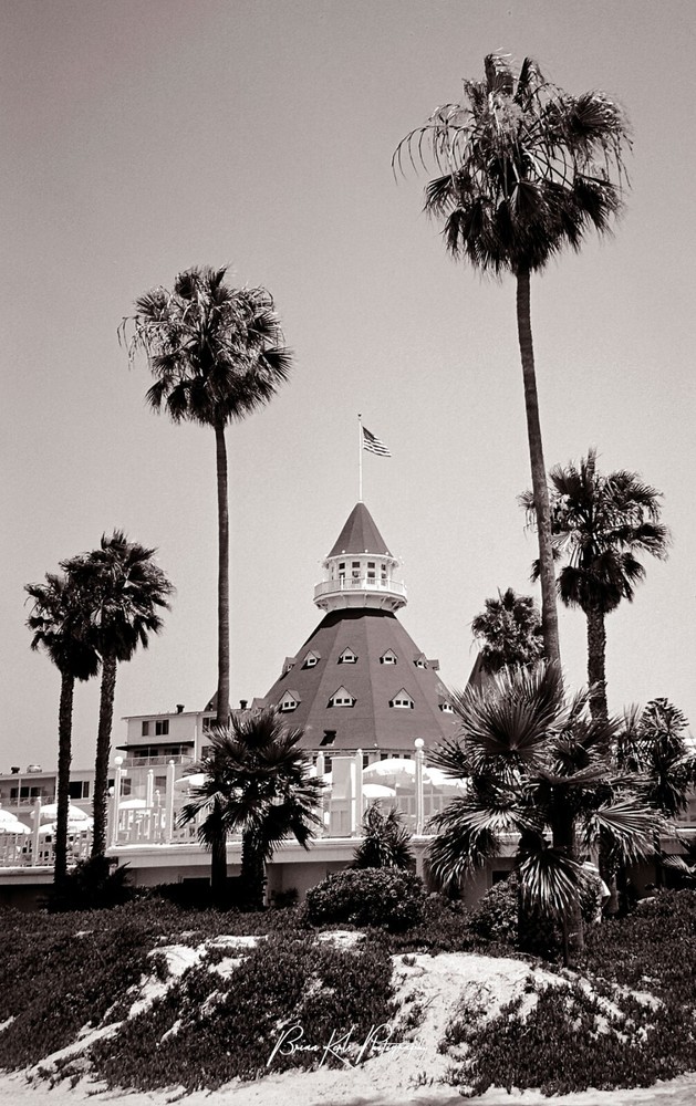 Hotel Del, Coronado Island, San Diego, Beach Scene Framed Photograph Wall Art