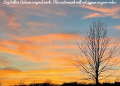 5×7 Colorful Sunset Landscape Photography Winter Barren Tree Giclee Print