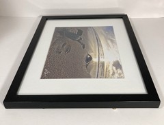 SIGNED Photograph Sea Turtles on Beach Chris Doherty Matted & Framed