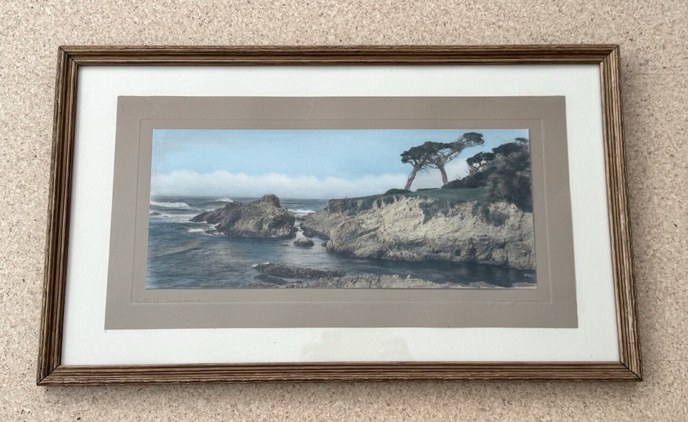 Lg J.M. Garrison Tinted Oil Color Photo Ostrich Tree Monterey 23″x 13.5” VGC