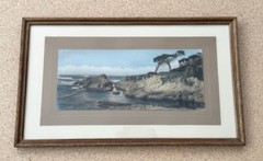 Lg J.M. Garrison Tinted Oil Color Photo Ostrich Tree Monterey 23″x 13.5” VGC