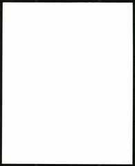 Photograph Punk Woman Inscription Sid Did It On Breasts Large Format 20x Nude