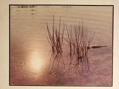 REFLECTED DAYSTAR ORIGINAL SIGNED ART PHOTO COLOR STETTNER VTG MATTE NJ CAMERA