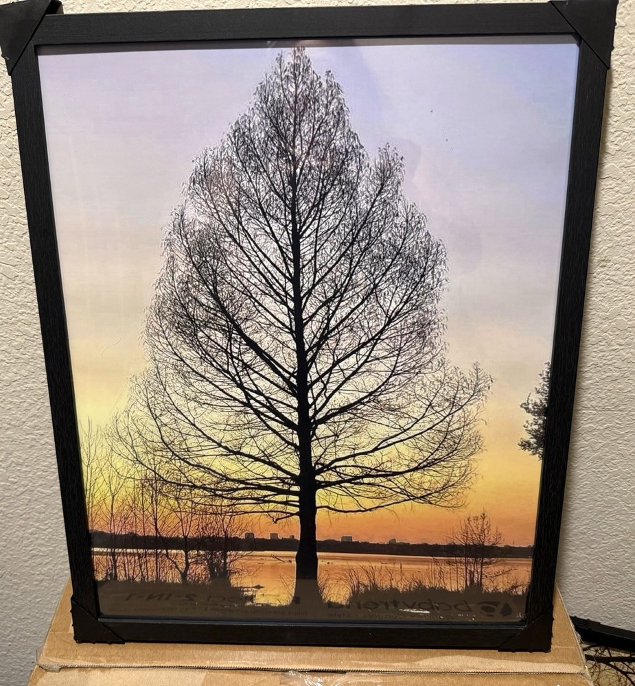 White Rock Lake Framed Photography Wall Art – Set Of 3 – Sunset Nature Prints