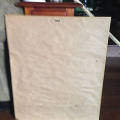 Picture of a rose