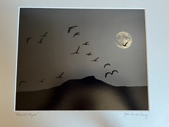 JOHN DAVID GEERY ~ «MOONLIGHT FLIGHT” SIGNED DIGITAL COMPOSITE PHOTO ~ 15” x 13”