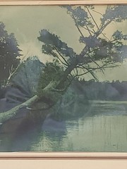 Vintage Scenic Photograph Framed Art Lost Lake Michigan, Trees Antique Art 1939