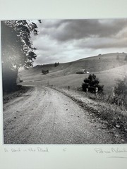 Patricia McGrady Photography – “A Bend In The Road” – Gorgeous Art