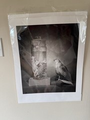 Robert Sulkin Photography Art 14×17 Black and White