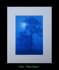 matted photograph, 5″x7″ print, mounted 3/16″ foam with 8″x10″ single white mat