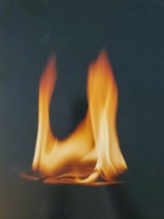 THE FLAME ORIGINAL SIGNED ART PHOTO COLOR STETTNER VTG MATTE NJ CAMERA FIRE