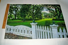 Large Photograph Plantation Louisiana Oak Trees Chimneys Picket Fence Gate 16/24