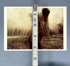 Lioness In Baltimore 1986 Art Print Card Photo Jacqueline Hayden Fotofolio 4”x6”