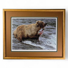 VTG Signed Ltd Ed Photograph (#2/100) Alaskan Grizzly Bear by Lee Mann ~ COA