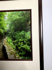 Glossy Photograph: Brook and Stone Wall. 15 in. x 12 in. Diane L. Deanna