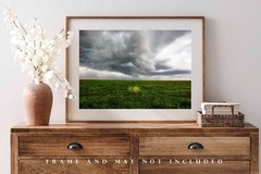 Storm Photography Print – Yellow Wildflowers in Green Field in Texas Photo