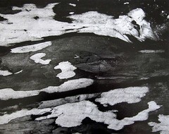 BRETT WESTON Signed 1970’s Original Photograph – «Abstract Image»