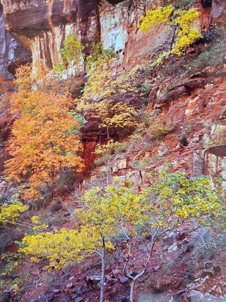 Richard Garrod, color 10×12 image on 16x 20 matte, photography art original