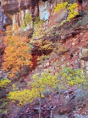 Richard Garrod, color 10×12 image on 16x 20 matte, photography art original