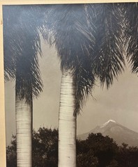 HUGE BREHME ‘Popocatepetl’ MEXICO Volcano Mountain SIGNED Gelatin Silver PHOTO
