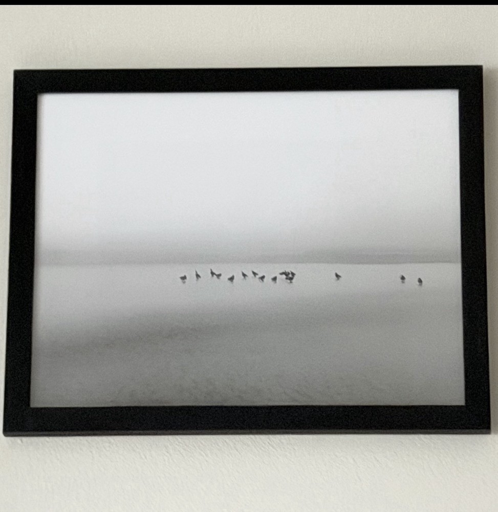 Black And White Photo Print 8.5 X 11