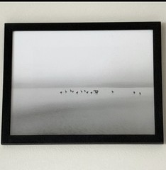 Black And White Photo Print 8.5 X 11