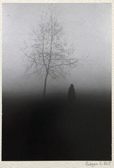 RODGER C. BIRT HYDE PARK LONDON 1970 HAND SIGNED GELATIN SILVER PRINT