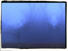 Blue Path – Limited Edition 1 – 100 Photographs by Eric Buechel