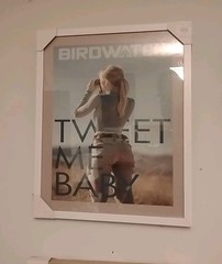 Photo Art 16” X 22” Framed