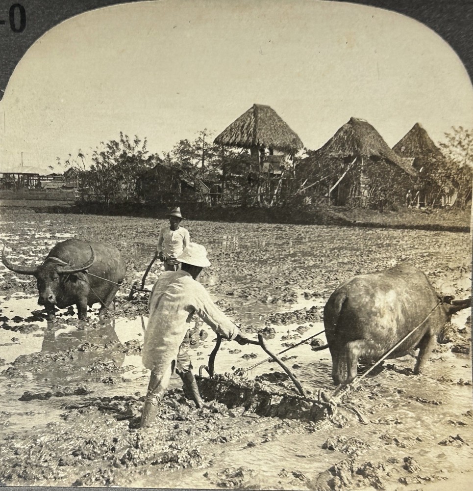 PHILIPPINES Rural Life Scene At Manila c1900 Stereo Photo Vintage