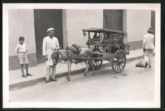 9 Photographs Caracas, City Panorama, Locals, Traders with Donkey Cart, Egg