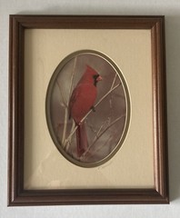 Rick Denomme Bird Photography Set of 4 Framed Cardinal Chickadee Titmouse Signed