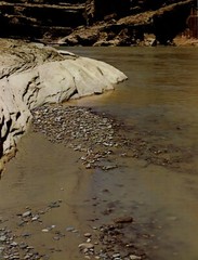 1962 Eliot Porter Glen Canyon Colorado River Sand Bar Pebbles Art Photo Gravure