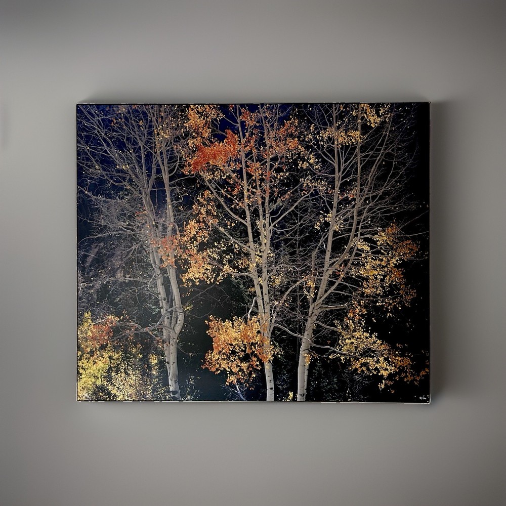 Rodney Lough Jr. «Silver Aspen» Limited Edition #83/500 French Cleat 26×22”