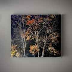 Rodney Lough Jr. «Silver Aspen» Limited Edition #83/500 French Cleat 26×22”
