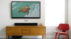 Giant Sea Turtle, Galapagos Islands, High Resolution Image, Many Formats, TV Art