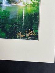 11 X 14 Matted Photo – signed by photographer Marie Whitton- BAHAMAS FALLS
