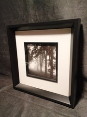 2 Modern Black & White Photography Trees Minimalist Moody 11.25 » Square Frames