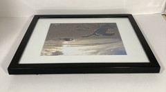 SIGNED Photograph Sea Turtles on Beach Chris Doherty Matted & Framed