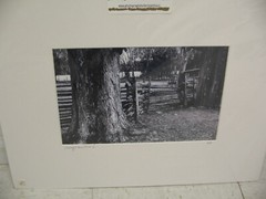MATTED PHOTOGRAPHY Farmhouse Fenced Yard A/P 16×20 By Larry Santucci