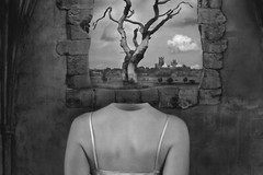 Fine Art B+W Photography Signed Ltd Edition SURREAL Tree of Knowledge in AD 2000