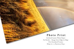 Sky Photography Print – Picture of Rainbow Ending in Golden Wheat Field Kansas