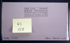 Boris Starosta 3D Stereoview – Betty C 058 – nude model signed 2008
