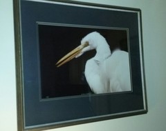 Thomas D Mangelsen set of 3 prints signed & #’d dated1981